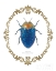 Picture of ADORNING COLEOPTERA V