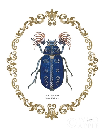Picture of ADORNING COLEOPTERA III