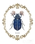 Picture of ADORNING COLEOPTERA III