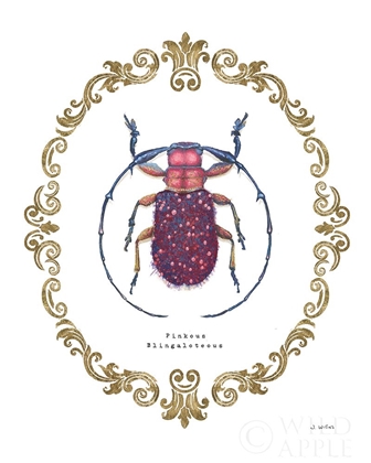 Picture of ADORNING COLEOPTERA II