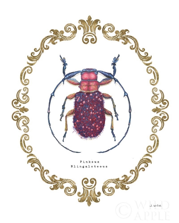 Picture of ADORNING COLEOPTERA II