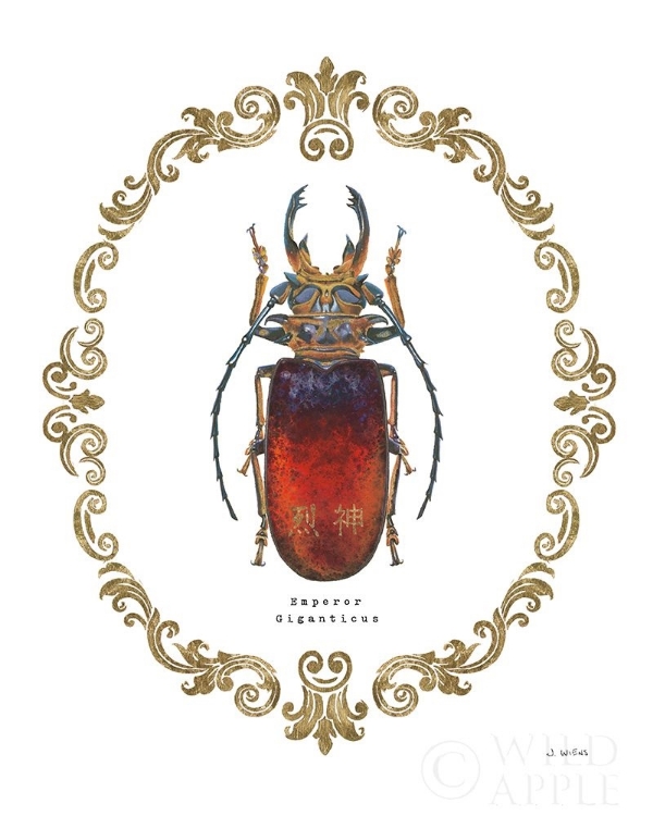 Picture of ADORNING COLEOPTERA I