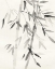 Picture of BAMBOO LEAVES V