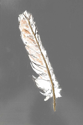Picture of GOLD FEATHERS II ON GREY