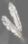 Picture of GOLD FEATHERS III ON GREY