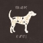 Picture of OTOMI DOGS IV DARK NEUTRAL