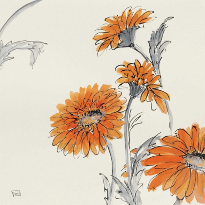 Picture of ORANGE GERBERA I