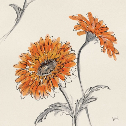 Picture of ORANGE GERBERA II