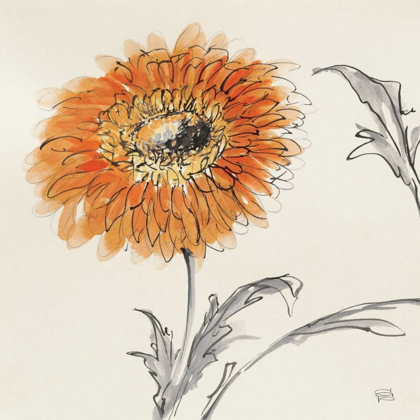 Picture of ORANGE GERBERA III