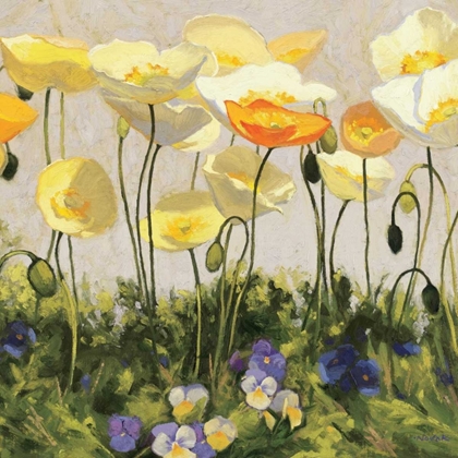 Picture of POPPIES AND PANSIES II