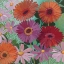 Picture of COSMOS AND GERBERAS I