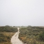 Picture of OFF THE BEATEN PATH