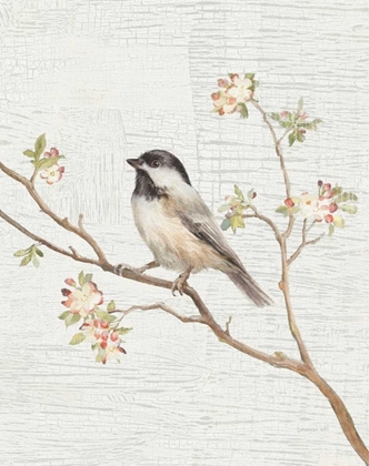 Picture of BLACK CAPPED CHICKADEE VINTAGE V2