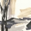 Picture of PLACID IV