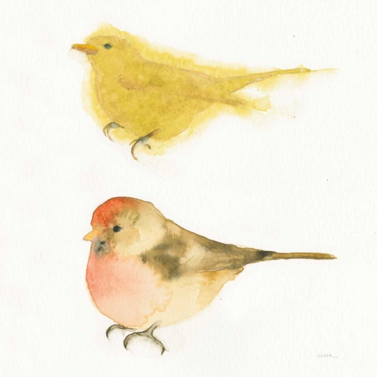 Picture of WATERCOLOR BIRDS I SQ