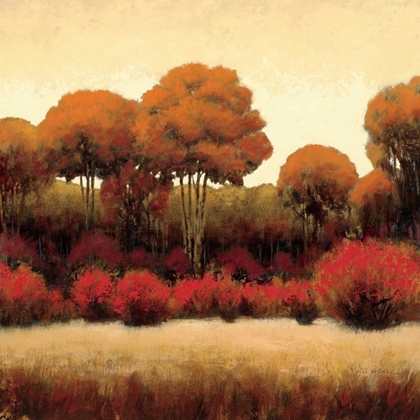 Picture of AUTUMN FOREST II