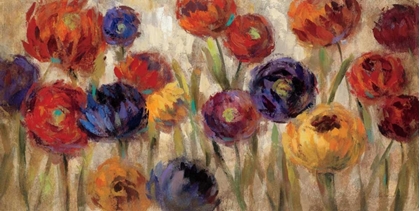 Picture of ASTERS AND MUMS