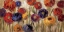 Picture of ASTERS AND MUMS