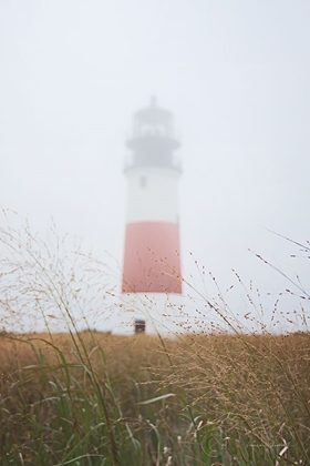Picture of SANKATY HEAD IN THE FOG