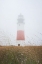 Picture of SANKATY HEAD IN THE FOG