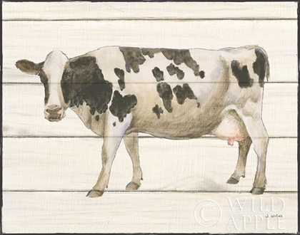 Picture of COUNTRY COW VI