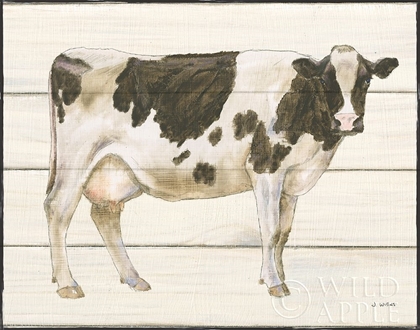 Picture of COUNTRY COW VII
