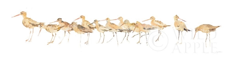 Picture of WATERCOLOR SANDPIPERS PANEL