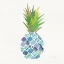 Picture of TROPICAL FUN PINEAPPLE II