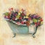 Picture of BATHTUB BOUQUET I
