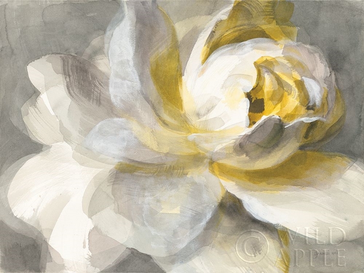 Picture of ABSTRACT ROSE