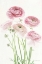Picture of LIGHT AND BRIGHT FLORAL V