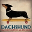 Picture of DACHSHUND LONGBOARDS