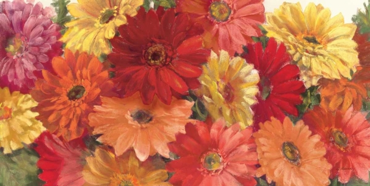 Picture of BOUNTIFUL GERBERAS CROP