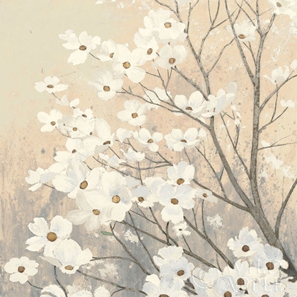 Picture of DOGWOOD BLOSSOMS II NEUTRAL