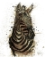 Picture of GOLD AFRICA II ON WHITE CROP