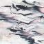 Picture of MARBLING V CROP