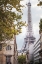 Picture of EIFFEL VIEW II