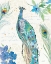 Picture of PEACOCK GARDEN II