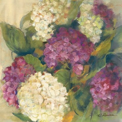 Picture of HYDRANGEA DELIGHT I