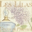 Picture of FLEURS AND PARFUM IV