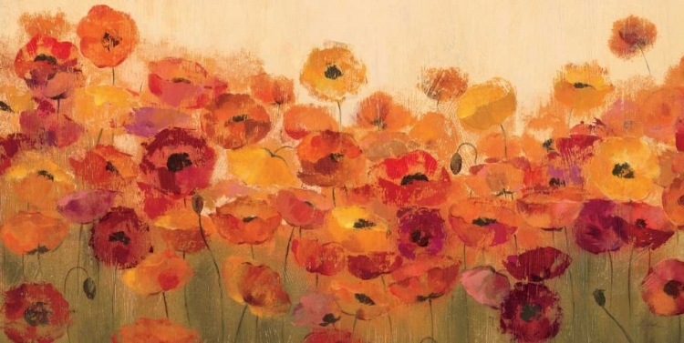 Picture of SUMMER POPPIES