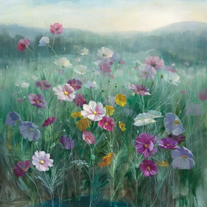 Picture of COSMOS AT DAWN