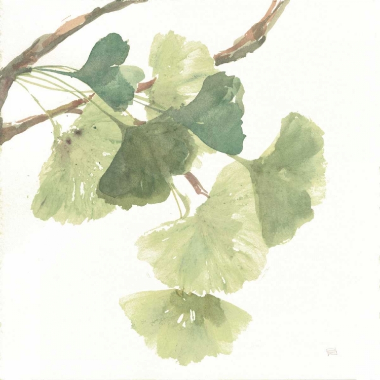 Picture of GINGKO LEAVES I ON WHITE