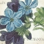Picture of BLUE FLORAL