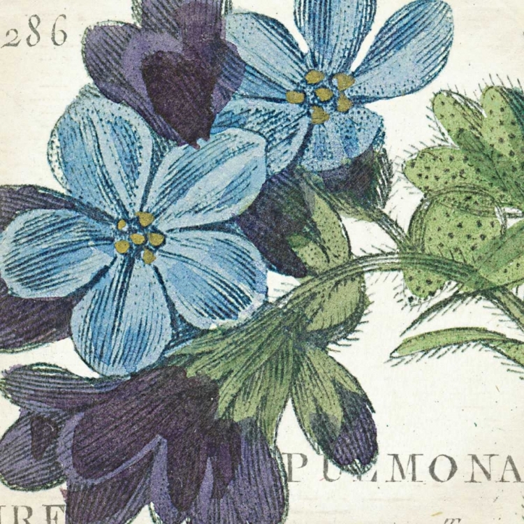 Picture of BLUE FLORAL