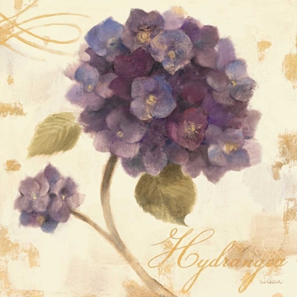 Picture of ABUNDANT HYDRANGEA I