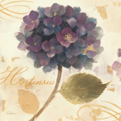 Picture of ABUNDANT HYDRANGEA II