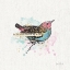 Picture of THOUGHTFUL WINGS I