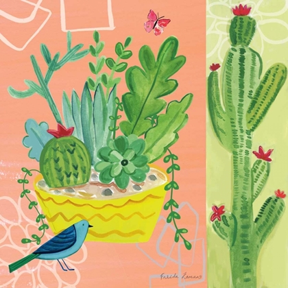 Picture of CACTI GARDEN IV