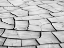 Picture of CALIFORNIA, DEATH VALLEY PATTERNS IN DRIED MUD